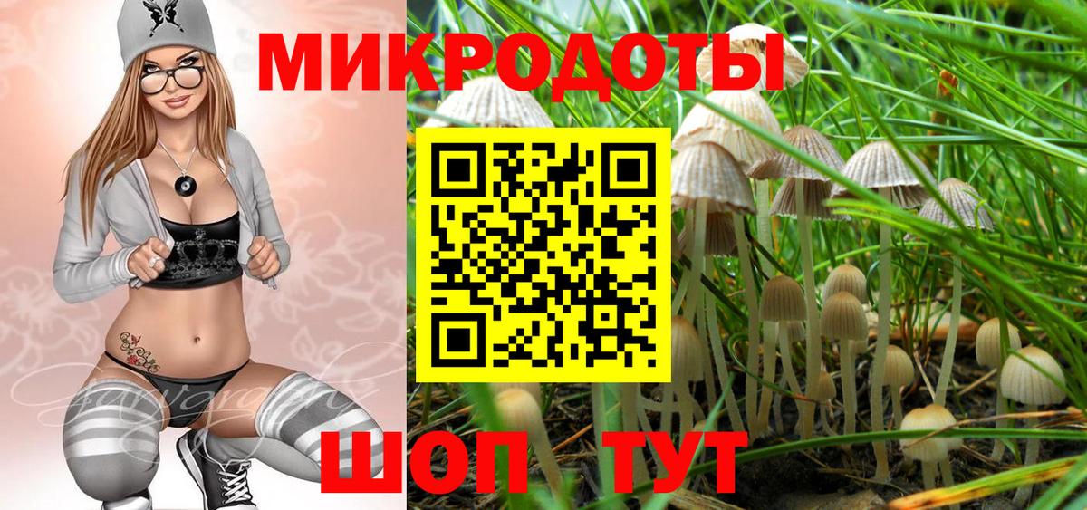 Галлюциногенные грибы Psilocybine cubensis  где продают наркотики  Хасавюрт  Вход с VPN  Псилоцибиновые грибы мицелий 