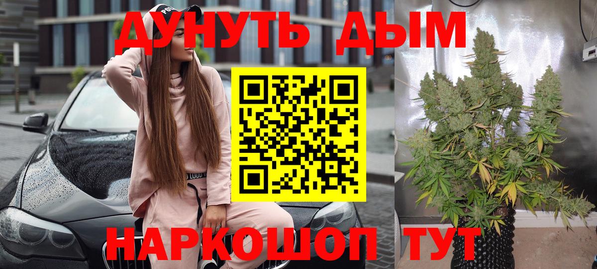 Конопля тримм  Марихуана тримм  Вход с VPN  Хасавюрт 